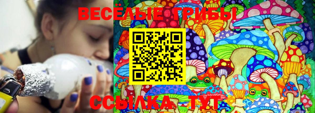 Галлюциногенные грибы прущие грибы  Вход с VPN  Череповец 